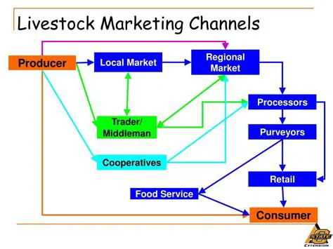 Livestock Marketing Channels
