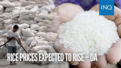 Local governments should consider policies that can maintain the stability of rice prices