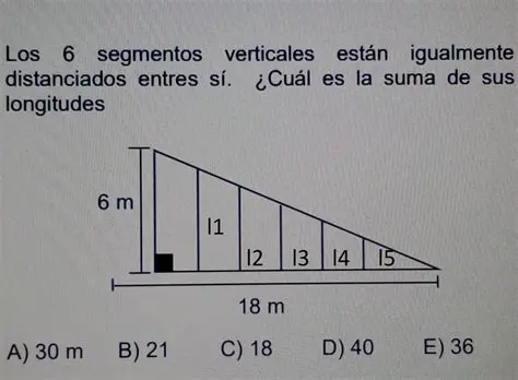 Longitudes de los segmentos