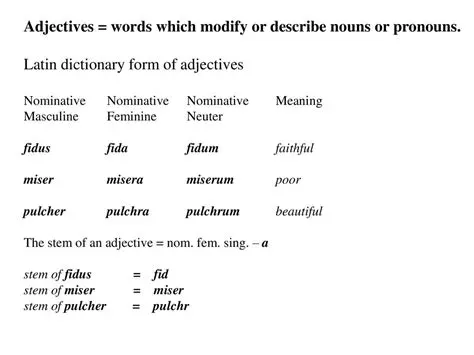 Look for words that modify nouns or pronouns