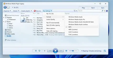 Main Features of CD to WMA MP3 Ripper