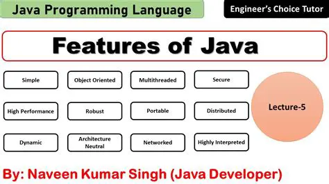 Main Features of STranslator