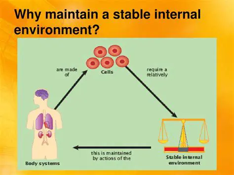 Maintain a stable internal environment