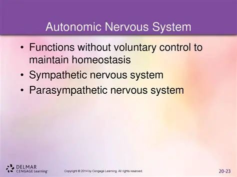 Maintain autonomic functions