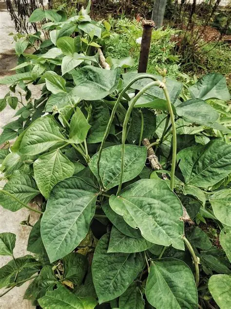 Make OpenTelemetryUtil a Bean