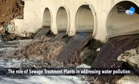 Malfunctioning Sewage Treatment Plants and Point Source Pollution