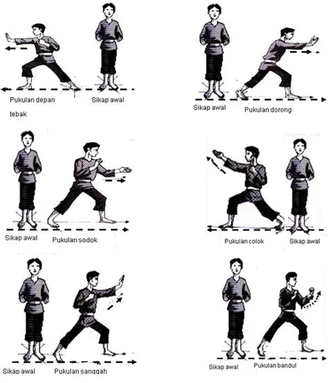 Manfaat Olahraga Silat dalam Pembelajaran PPKN