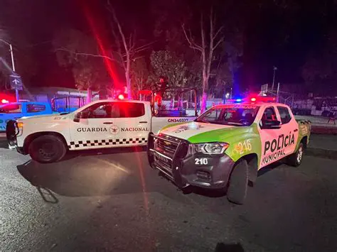 Mantiene la paz y la seguridad