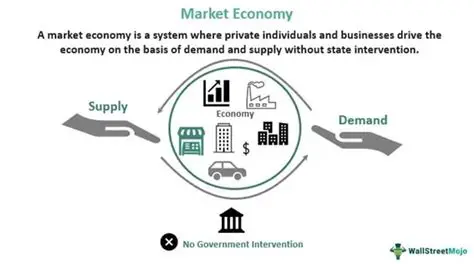 Market Economy with No Government Regulation