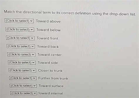 Match the Term with the Correct Definition