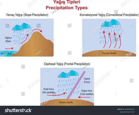 Matching Precipitation Types to Formation Processes