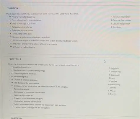 Matching the Statements to Their Sources