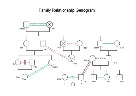Mathematical Representation of Family Relationships