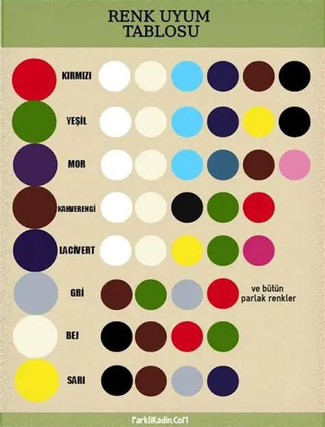 Mavi ve Siyah Renklerin Kombinasyonu