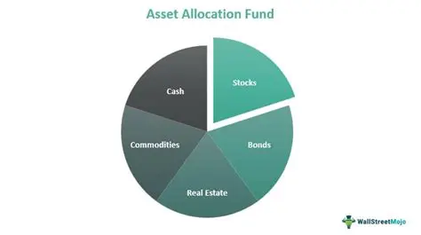 Maximize the use of General Allocation Funds and Special Allocation Funds