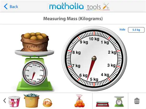 Measure the Mass of the Rock