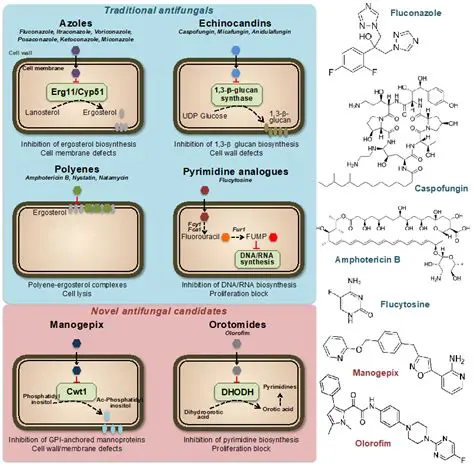 Mechanism of action of African leaf extract