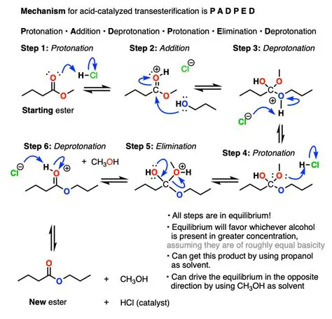 Mechanism of Action of NO as a Catalyst