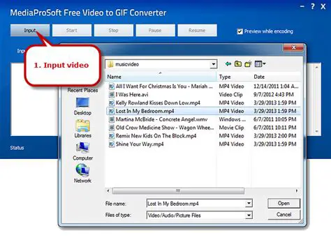 MediaProSoft Free Video to GIF Converter
