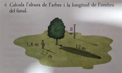 Medir la longitud de la sombra