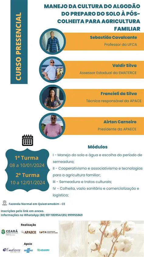 Melhorar o manejo da cultura de arroz