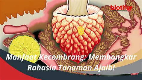 Membongkar Rahasia Penjualan Tiket