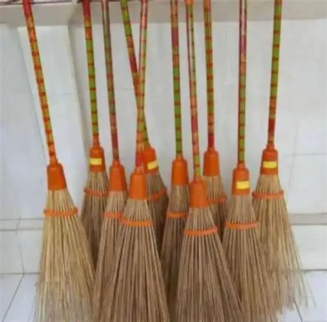 Mengenal Bima dan Sapu Lidi