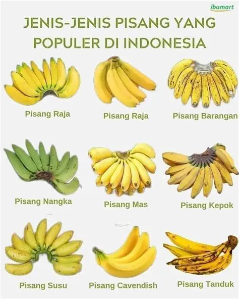 Menghitung Kuantitas Buah Pisang yang Dijual
