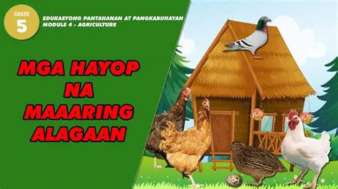 Mga Karakter na Maaaring Gawin