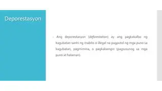 Mga Sanhi ng Pagkakalbo ng Kagubatan