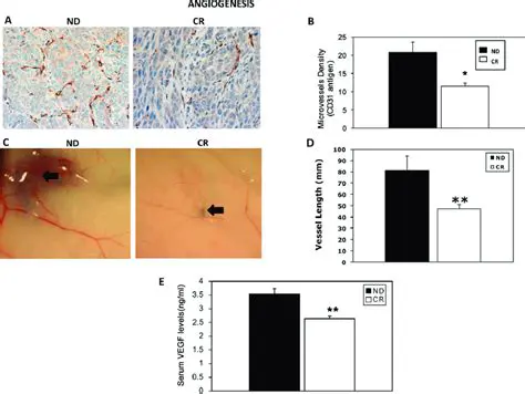 Microvessel Density and Angiogenesis