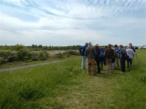 Unveiling Milton and Swanscombe: A Photographic Journey Through Local News and History