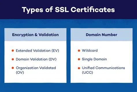 Missing or outdated SSL certificates