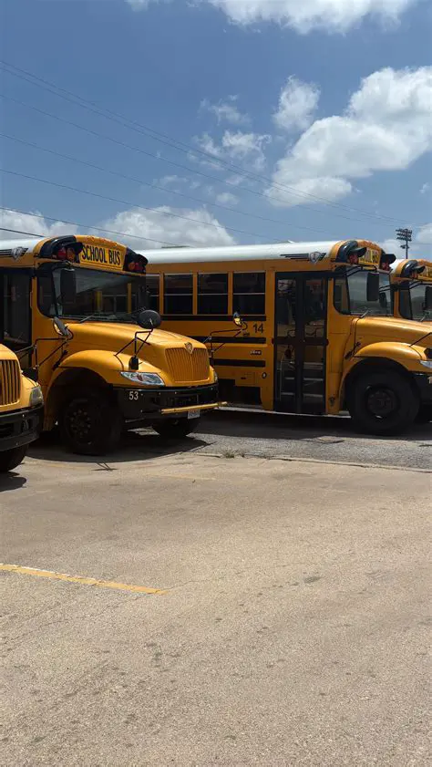 Mobilizing the School Team