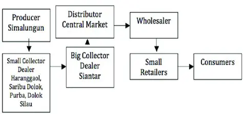 Model Supply Chain of Shallots in Medan