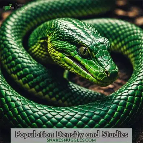 Modeling the Snake Population