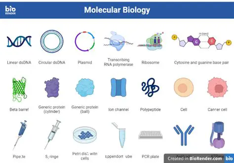 Molecular Biology Research