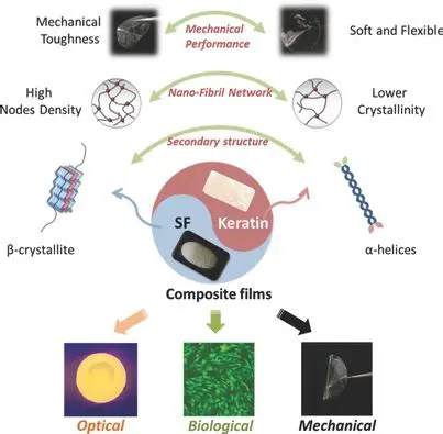 Molecular Network Reconstruction