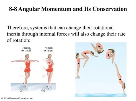 Momentum and Its Conservation