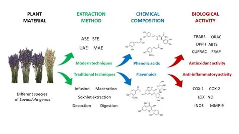 Monitor antioxidant activity