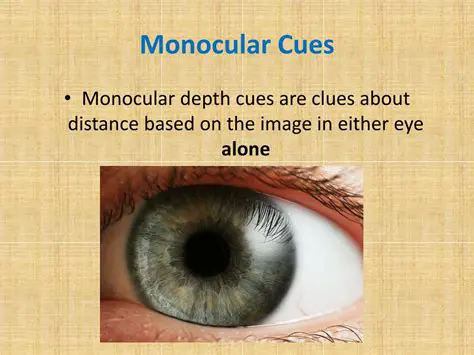 Monocular Depth Perception