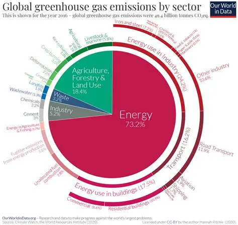 More greenhouse gas emissions