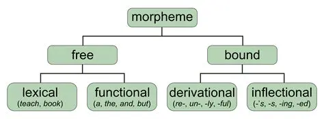 Morpheme Structure and Word Class