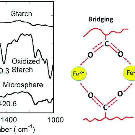 Morphological Analysis of Oxidized Starch Surface