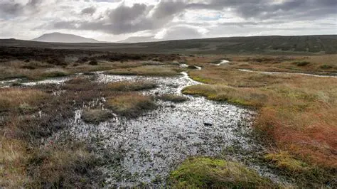 Myths and Legends Surrounding Peat Bogs