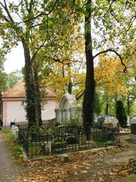 Narnia jest magicznym miejscem