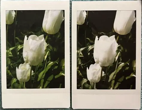 Natural Mode and Challenge Mode