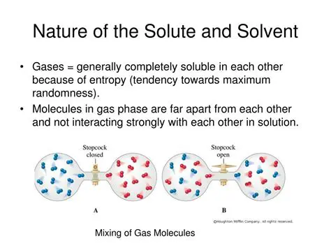Nature of the solute and solvent