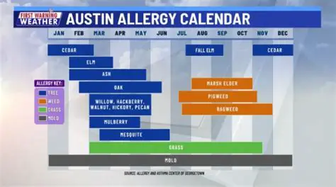 Navigating Allergy Season: Your Comprehensive Guide to the KXAN Allergy Report