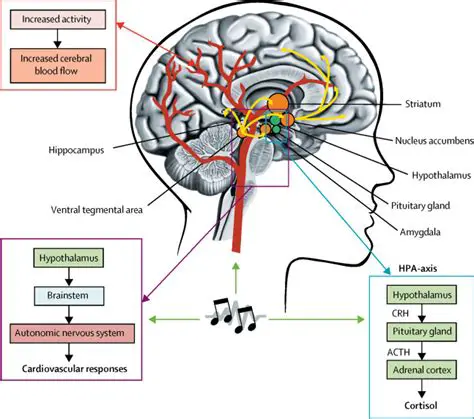 Neurological Reaction to Music Tempo